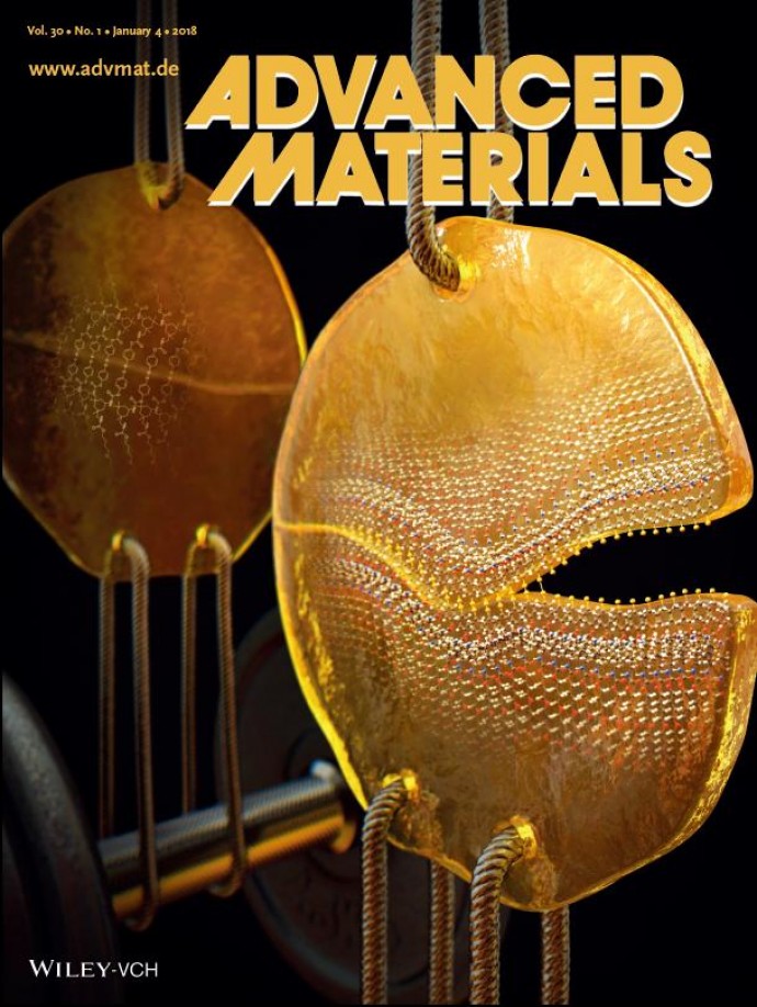 Advanced Materials 제공